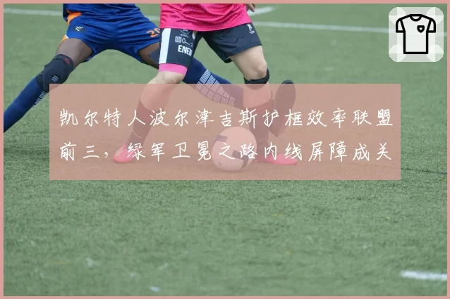 凯尔特人波尔津吉斯护框效率联盟前三，绿军卫冕之路内线屏障成关键