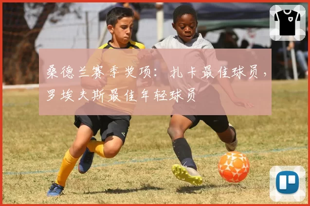 桑德兰赛季奖项：扎卡最佳球员，罗埃夫斯最佳年轻球员
