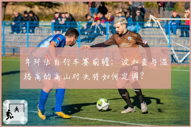 年环法自行车赛前瞻:波加查与温格高的高山对决将如何定调?