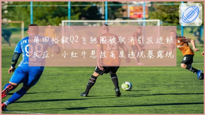 角田裕毅Q2飞驰圈被取消引发连锁反应,小红牛悬挂高度违规暴露规则灰色地带