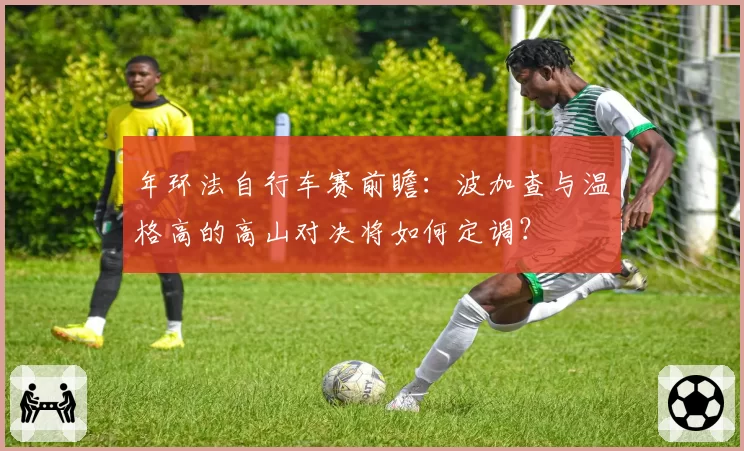 年环法自行车赛前瞻:波加查与温格高的高山对决将如何定调?