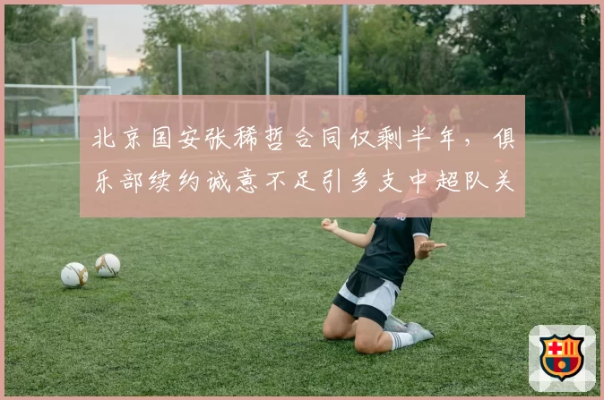 北京国安张稀哲合同仅剩半年,俱乐部续约诚意不足引多支中超队关注