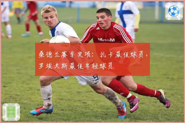 桑德兰赛季奖项：扎卡最佳球员，罗埃夫斯最佳年轻球员